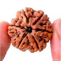 Raviour Lifestyle Rudraksha 6 Mukhi Original & Natural Six Faced Rudraksha for Astrological Benefits-thumb2