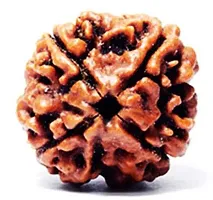 Raviour Lifestyle Natural 4 Mukhi Nepali Rudraksha (Four Mukhi) for Astrological Purpose-thumb2