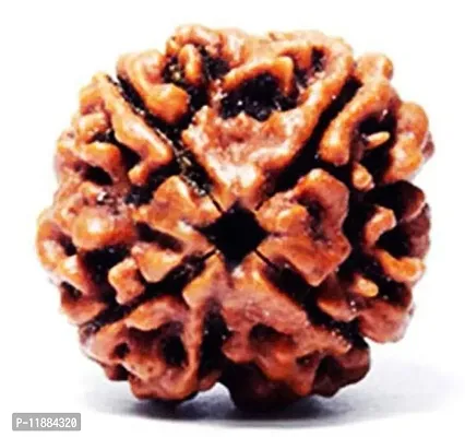 Raviour Lifestyle Natural 4 Mukhi Nepali Rudraksha (Four Mukhi) for Astrological Purpose-thumb3