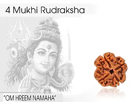 Raviour Lifestyle Natural 4 Mukhi Nepali Rudraksha (Four Mukhi) for Astrological Purpose-thumb4