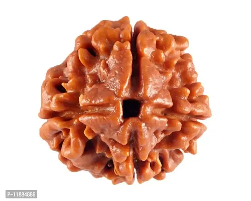 Raviour Lifestyle 4 Mukhi Original & Natural 4 Face Pure Siddha Nepali Rudraksha Bead-thumb0