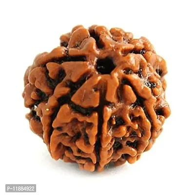 Raviour Lifestyle Rudraksha 6 Mukhi Original & Natural Six Faced Rudraksha for Astrological Benefits-thumb0