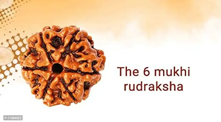 Raviour Lifestyle Rudraksha 6 Mukhi Original & Natural Six Faced Rudraksha for Astrological Benefits-thumb5