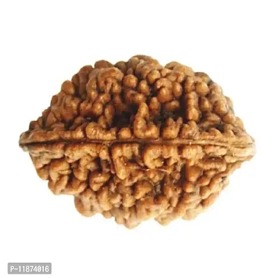 Raviour Lifestyle Brown 2 Faced Two Mukhi Nepali Rudraksha for Men and Women-thumb2