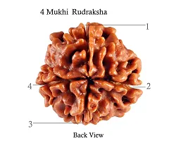 Raviour Lifestyle 4 Mukhi Original & Natural 4 Face Pure Siddha Nepali Rudraksha Bead-thumb1