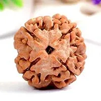 Raviour Lifestyle 4 Mukhi Original & Natural 4 Face Pure Siddha Nepali Rudraksha Bead-thumb2