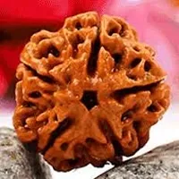 Raviour Lifestyle 5 Faced Nepali Rudraksha/Paanch Mukhi Nepali Rudraksha/Five Faced Nepali Rudraksha for Astrological Benefits-thumb4