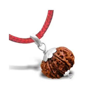 Mukhi Rudraksha Pendant Eight Faced Nepali Rudraksh Bead Pendant