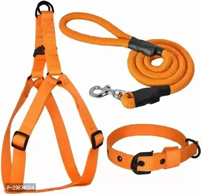 Combo Dog Harness Belts Neck Collar and Rope Set Dog Harness AND Leash Medium Orange