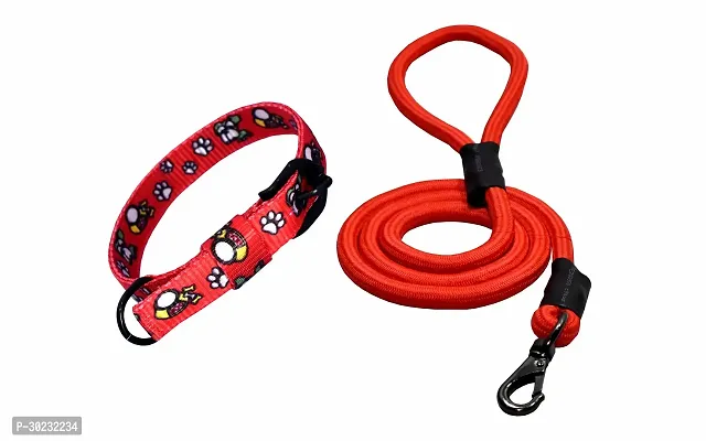 Printed Nylon Collar And Rope Leash Red