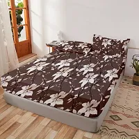 Comfortable Brown Glace Cotton King 1 Bedsheet + 2 Pillowcovers-thumb1