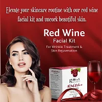 Natural Facial Kit Combo-Wrinkle Control Red Wine  Skin Lightening Bridal Glow Facial Kit, For All Skin Types-thumb2