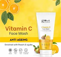 Aloe Vera Neem Tulsi, Mulberry, Kesar Chandan  Vitamin C Face Wash, 300g-thumb3