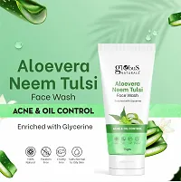 Aloe Vera Neem Tulsi, Mulberry, Kesar Chandan  Vitamin C Face Wash, 300g-thumb1