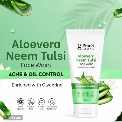 Aloe Vera Neem Tulsi, Mulberry, Kesar Chandan  Vitamin C Face Wash, 300g-thumb2