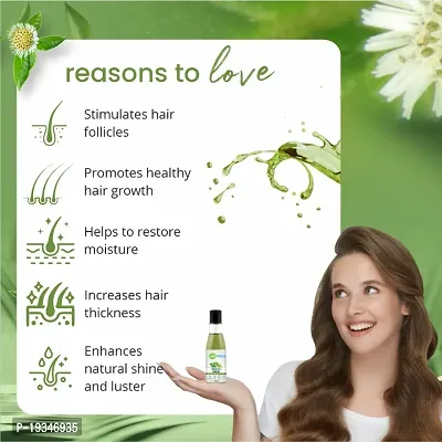 CareVeda Bhringraj Hair Oil, Enriched with Coconut and Til Oil Suitable For All Hair Types 100ml-thumb3