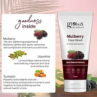 Mulberry Fairness Face Wash For Even Skin Tone, Set of 2, 75gm-thumb3