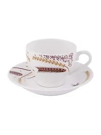 SONAKI Bone China Cup and Saucer Set - Set of 12, White, 160ml-thumb2