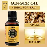 Hotixo Tummy Ginger Oil, for Belly Drainage Ginger Massage Oils For Belly / Fat Reduction for Weight Loss, Fat Burner Oil, Weight Loss Oil For Men  Women-30ml pack of 2-thumb3