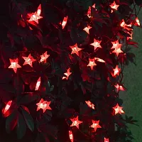 coku 28 LED 10 Meter Star Fairy String Light for Diwali Festival Home, Party, Christmas, Garden Decoration-thumb2