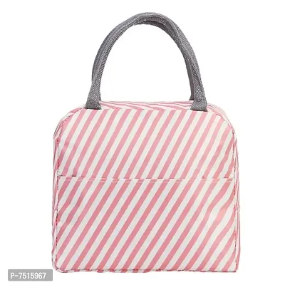 Elegant Canvas Striped Leakproof Insulated Travel Lunch Tiffin Storage Bags-thumb0