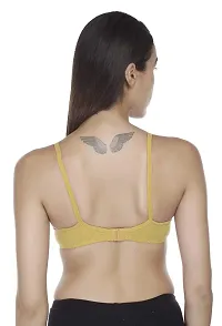 Women Padded Bra Combo of 2-thumb1