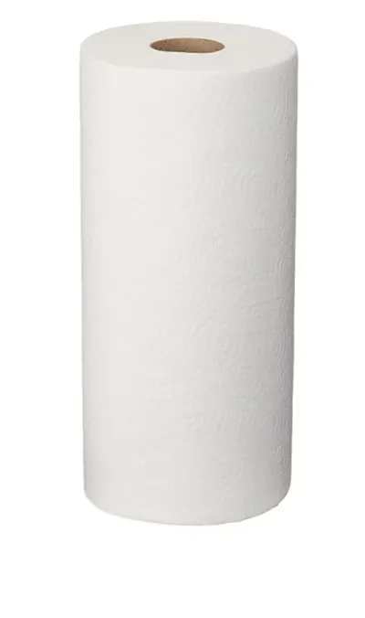 White Toilet Tissue Paper Roll 2 ply Pack Of 1