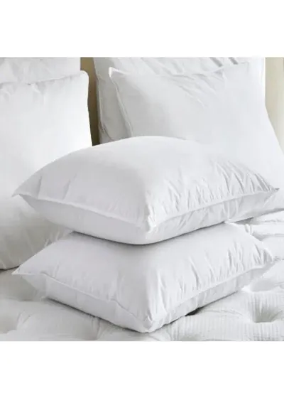 Set of 2- Soft Pillows