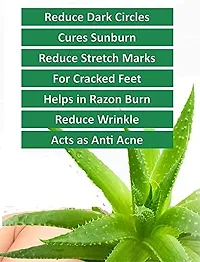 Zhunmun Alovera Gel Tube 99% Pure Aloe Vera Gel- Multipurpose for Skin and Hair Moisturizing (130 ml)-thumb3