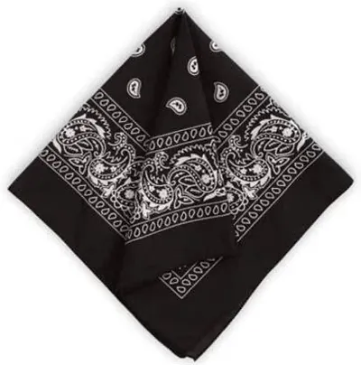 Ballons 22 X 22 Inch 100% Novelty Double Sided Print Paisley Cowboy Party Favor Scarf Headband Paisley Handkerchief Ambi style ""Black"" Handkerchief (Pack of 1)