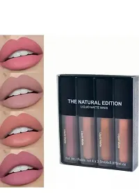 5 in 1 Fab Nude Lipstick Matte with 4 Pcs Nude Liquid Mini Lipsticks-thumb1