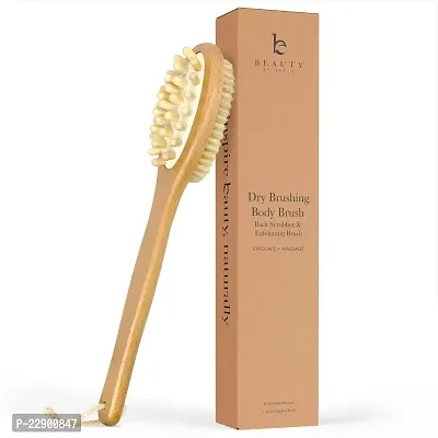 Dry Brushing Body Brush - Long Handled Exfoliating Brush, Body Brush, Dry Brush for Cellulite and Lymphatic Drainage Massager, Body Scrubber Shower Brush for Back, Skin (1 Pk)-thumb0