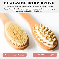 Dry Brushing Body Brush - Long Handled Exfoliating Brush, Body Brush, Dry Brush for Cellulite and Lymphatic Drainage Massager, Body Scrubber Shower Brush for Back, Skin (1 Pk)-thumb1