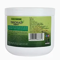 Panchvati Herbals Regular Papaya Face Pack | Removes Dead Skin Cells  Keeps Skin Youthful - 800 ml-thumb2