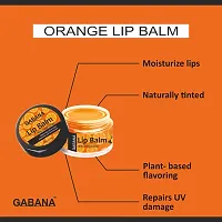 Gabana Mango, Orange, Rose  Vanilla Extract Lip Balm For Dry, Cracked  Chapped Lips, Intense Moisturizing for Men  Women, Suitable for All Skin Type (Each, 15g) Combo of 4-thumb2