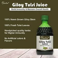 Nutrivue Giloy Tulsi Juice for Devlops Immunity With Botanical Ingredients (400ml)-thumb1