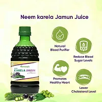 Nutrocopia Neem Karela Jamun Juice for Promotes Healthy Glucose Levels | Healthy Juice | Pack Of 1 Bottle Of 400ml-thumb2