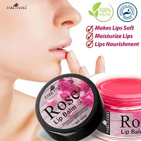 Park Daniel Rose Extract Natural Lip Balm For Dry Damaged and Chapped Lips to Get Intense Moisturizing (15gms) Pack of 2-thumb4