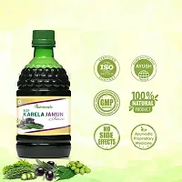 Nutrocopia Neem Karela Jamun Juice for Promotes Healthy Glucose Levels | Healthy Juice | Pack Of 1 Bottle Of 400ml-thumb3