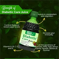 Nutrivue Diabetic Care Juice for Control Diabetes | Sugar Free (4x400ml)-thumb1