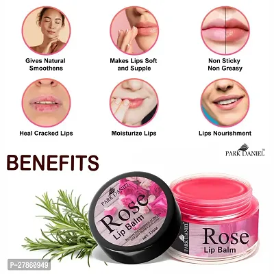 Park Daniel Rose Extract Natural Lip Balm For Dry Damaged and Chapped Lips to Get Intense Moisturizing (15gms) Pack of 2-thumb3