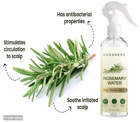 Rosemary Water | Rosemary Water Spray for Hair Growth | Hair Serum | Hydrosol/Toner/Mist Spray For Glowing Skin  Shiny Hair - Pack of 1 Bottle of 100ml-thumb4