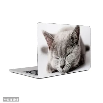 WallDaddy - Self Adhesive HD Printed Laptop Skin Stickers Large Size  (40x28)Cm Premium Finish Vinyl Laptop