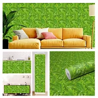 Self Adhesive Wall Stickers for Home Decoration Extra Large Size 300x40Cm Wallpaper for Walls GreenPatti Wall stickers for Bedroom  Bathroom  Kitchen  Living Room Pack of -1-thumb2