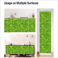 Self Adhesive Wall Stickers for Home Decoration Extra Large Size 300x40Cm Wallpaper for Walls GreenPatti Wall stickers for Bedroom  Bathroom  Kitchen  Living Room Pack of -1-thumb4