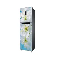 WallDaddy Self Adhesive Fridge Sticker | Decorative Wallpaper and Wall Sticker Extra Large (160x60)CM Fridge Sticker For Home and Kitchen Decoration-thumb3