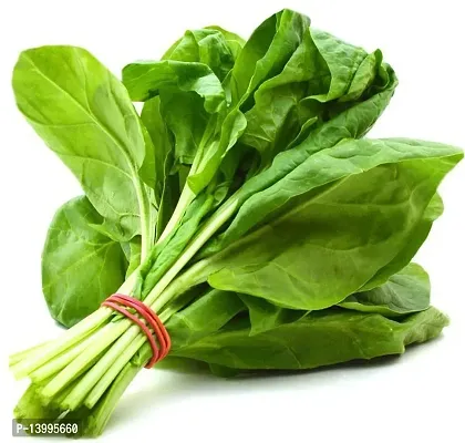 Palak Seeds - Spinach