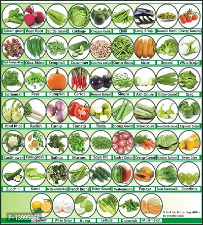 Vegetable and Fruit Seeds Combo Pack 60 Varieties Pack