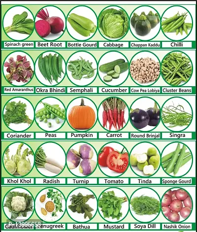 30 Varieties of Vegetable Seeds Combo Pack