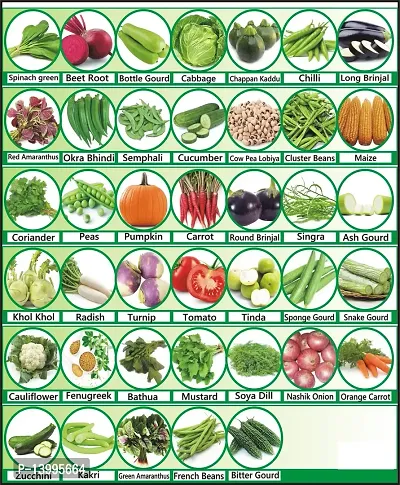 40 Varieties of Vegetable Seeds Combo Pack